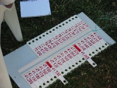 IMG_0205.jpg